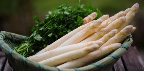 Asperges blanches (ferme le houn; benesse maremne)