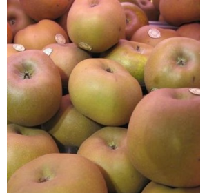Pomme Canada grises