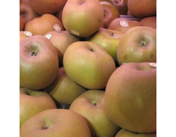 Pomme Canada grises
