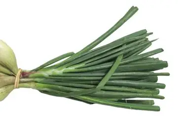 Échalote primeur botte