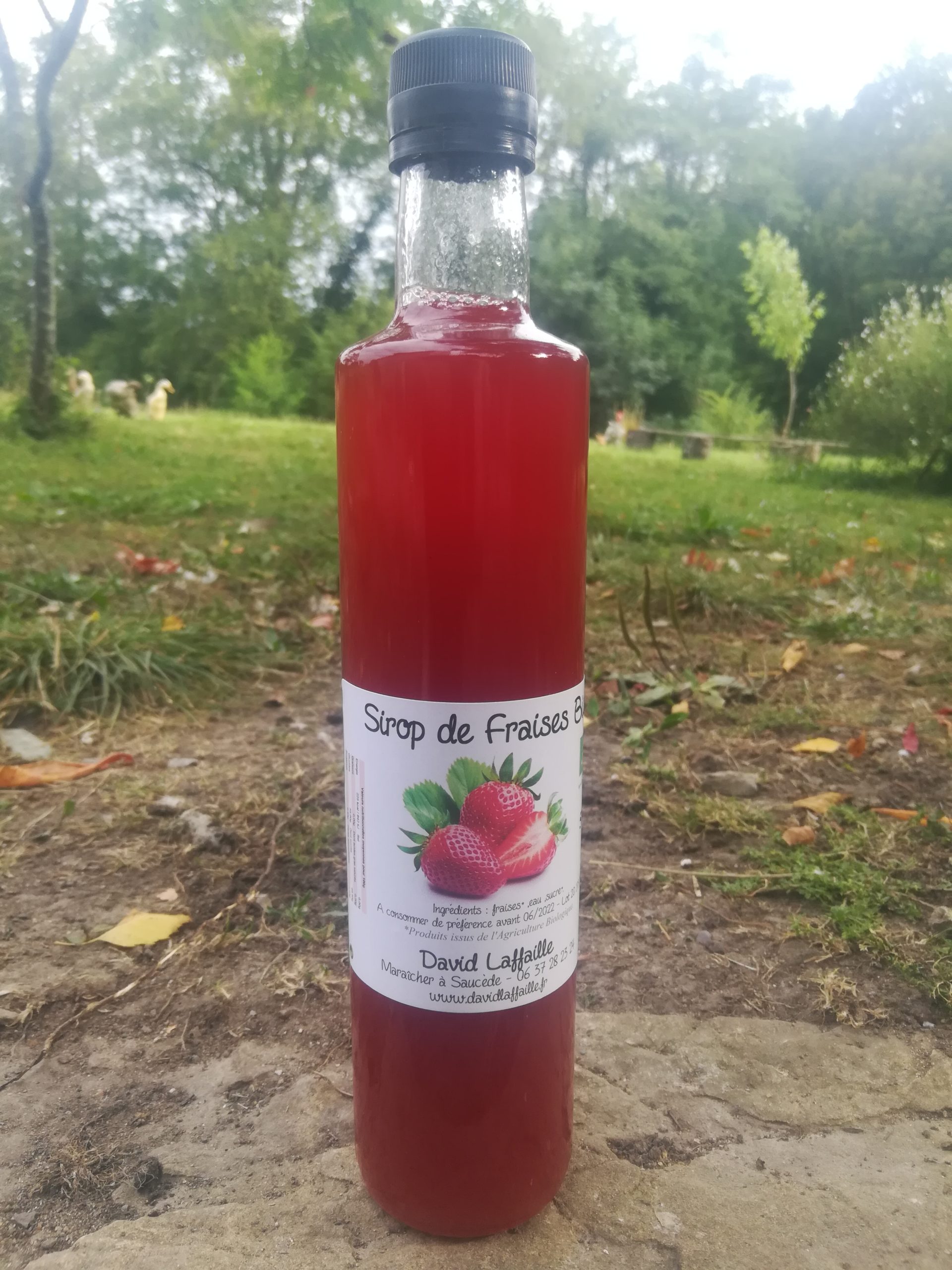 Sirop de fraises Bio