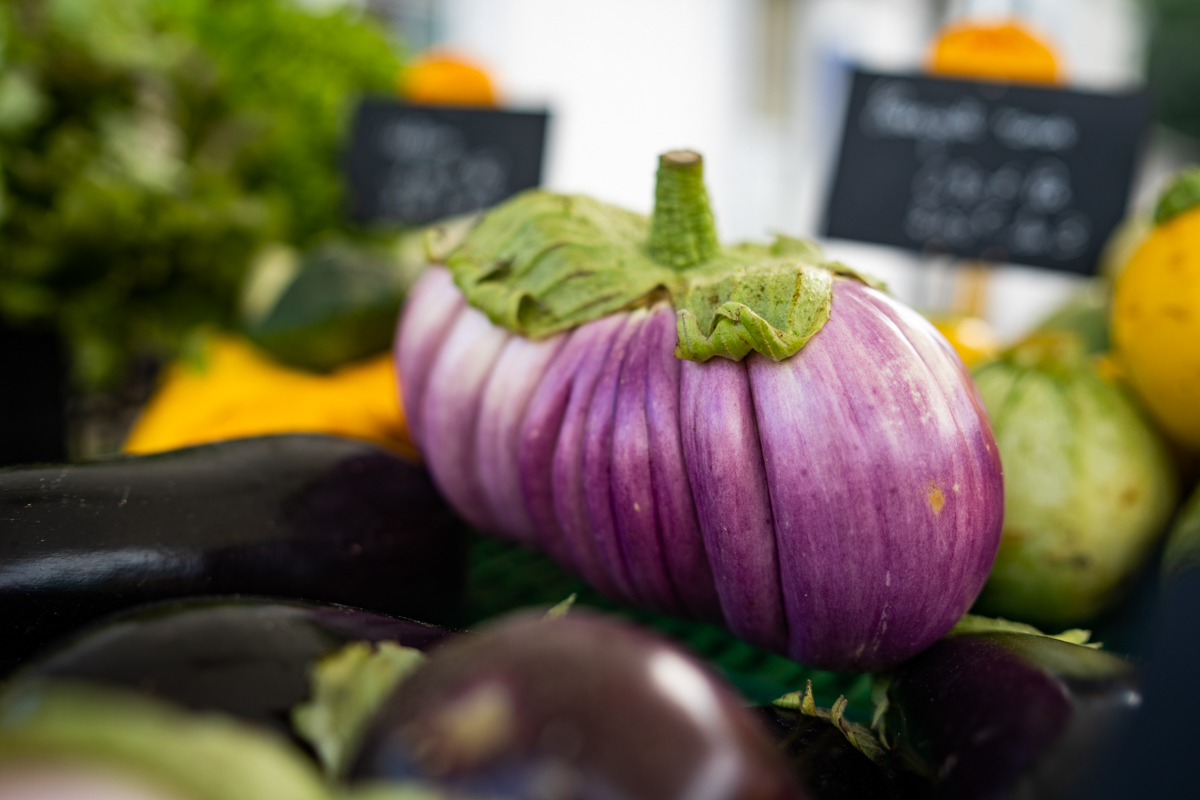Aubergine
